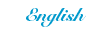 enH.gif (562 byte)
